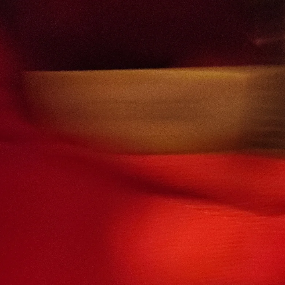 Dooney & Bourke Pebble Grain Camera Bag - Picture 6 of 9